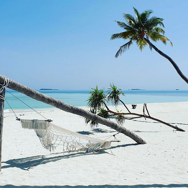 Perla Dhangethi Guest House