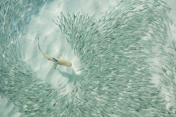 Sun Siyam Iru Fushi Maldives