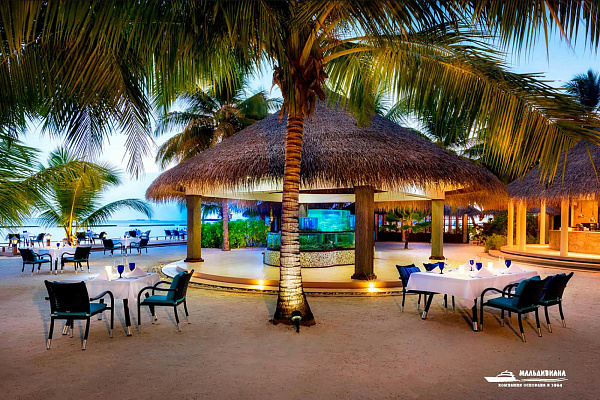 Sheraton Maldives Full Moon Resort and Spa