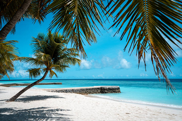 NAKAI Dhiggiri Resort NAKAI Dhiggiri Resort