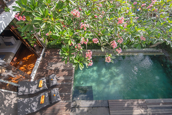 Canggu Circle 5*