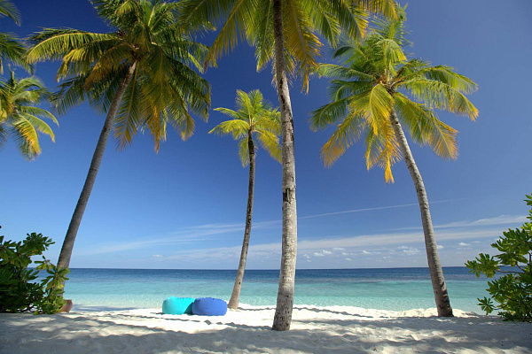 Mirihi Island Resort