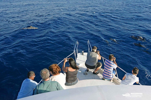 Medhufushi Island Resort Medhufushi Island Resort