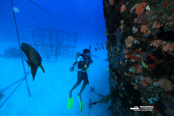 Dhawa Ihuru, Maldives (ex.Angsana Ihuru)