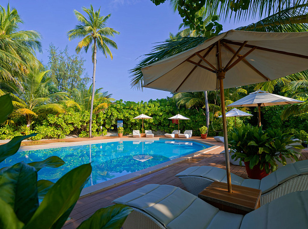 Safari Island Resort & Spa