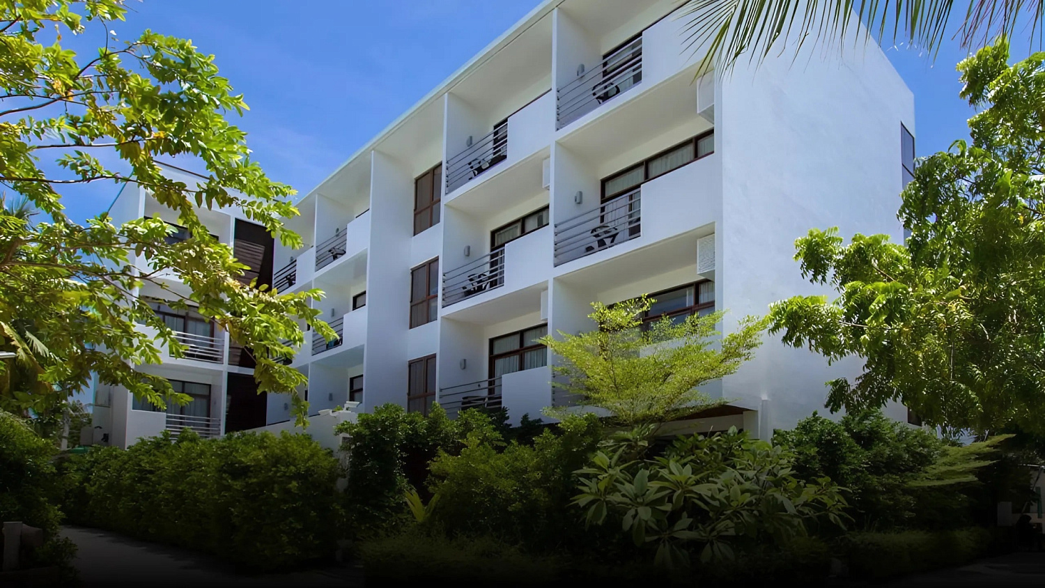 Plumeria Maldives Guesthouse