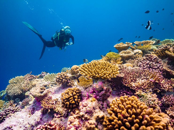 Baglioni Resort Maldives