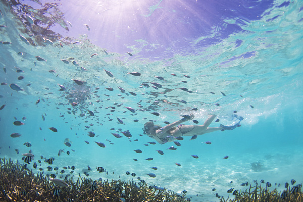 Villa Park (Sun Island)