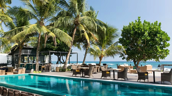 Owl and the Pussycat