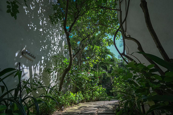 Calamansi Cove Villas by Jetwing