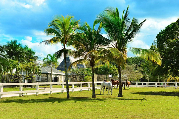 Maritim Resort and Spa, Balaclava Hotel Mauritius