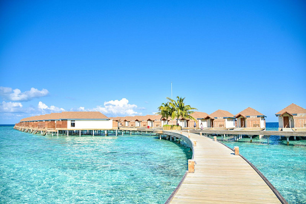 Reethi Faru Bio Resort  Reethi Faru Bio Resort