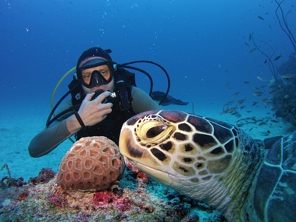 Reethi Faru Bio Resort 