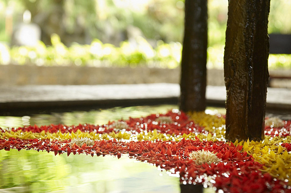 Fisherman's Cove Resort (Mahe)