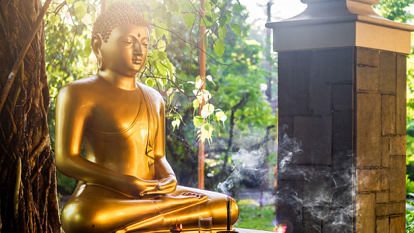 Siddhalepa Ayurveda Health Resort Siddhalepa Ayurveda Health Resort