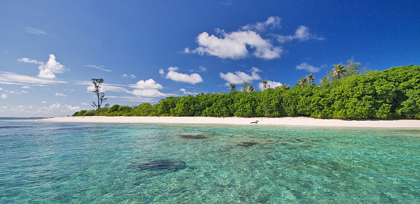 Bird Island Lodge (Bird Island) Bird Island Lodge (Bird Island)
