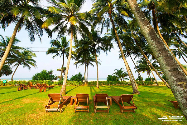 Thaala Resort (ex.Avani Bentota Resort & Spa) Thaala Resort (ex.Avani Bentota Resort & Spa)