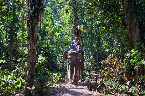 Mason Elephant Park and Lodge