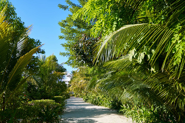 Sun Siyam Romance Maldives