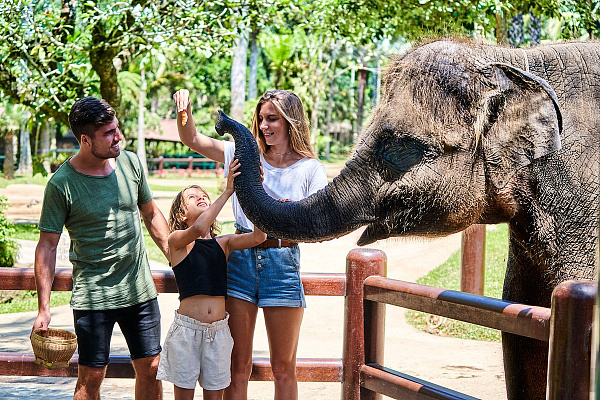 Mason Elephant Park and Lodge