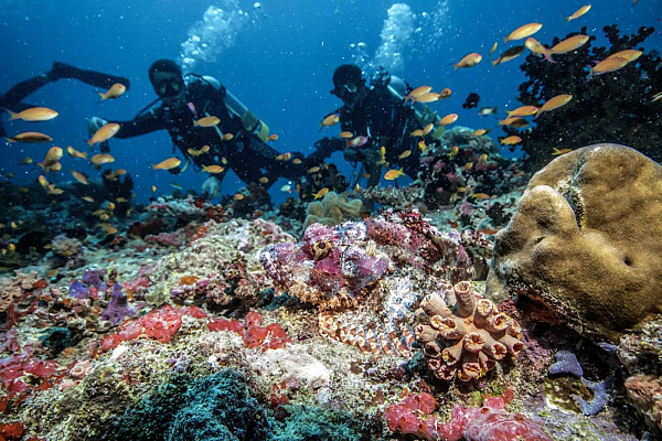 Robinson Club Maldives