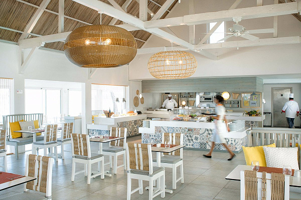 Tropical Attitude Tropical Attitude