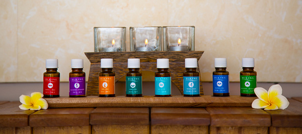 The Coco de Mer Hotel & Black Parrot Suites