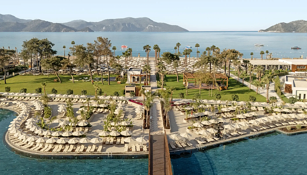 Liberty Signa Liberty Signa