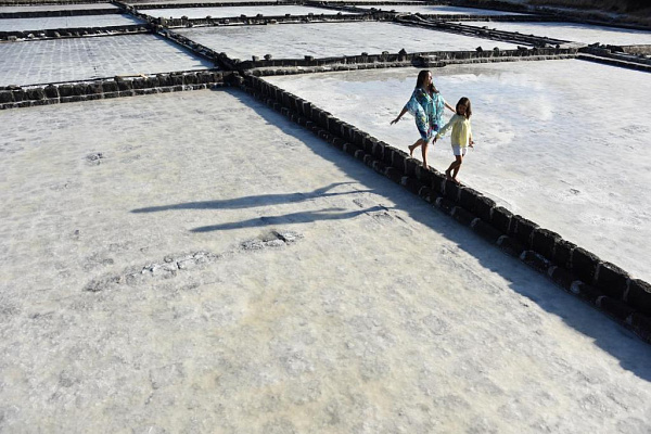 Veranda Tamarin Veranda Tamarin