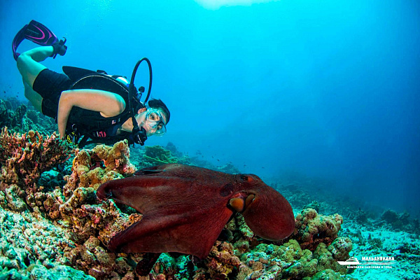 Dusit Thani Maldives