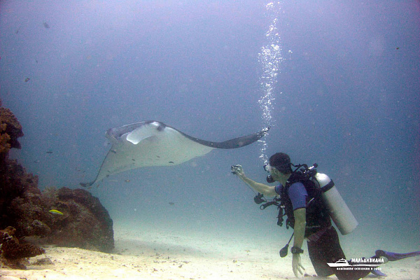 Gili Lankanfushi Maldives