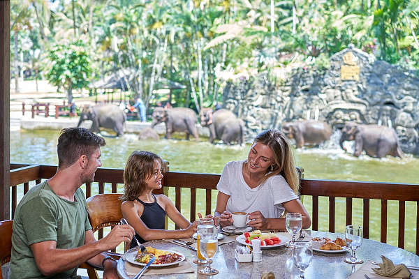 Mason Elephant Park and Lodge