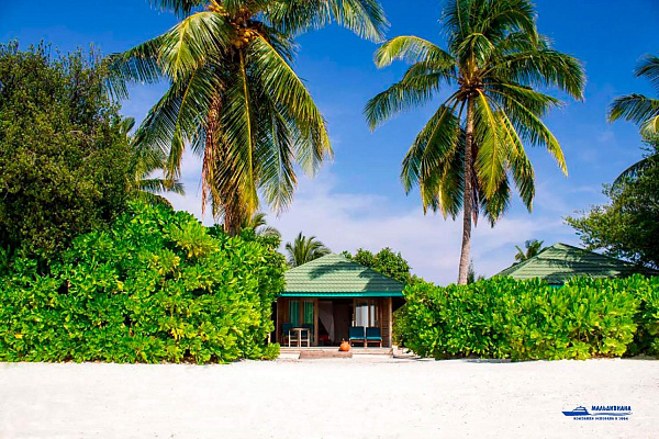 Canareef Resort Maldives Canareef Resort Maldives