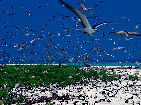 Bird Island Lodge (Bird Island) Bird Island Lodge (Bird Island)