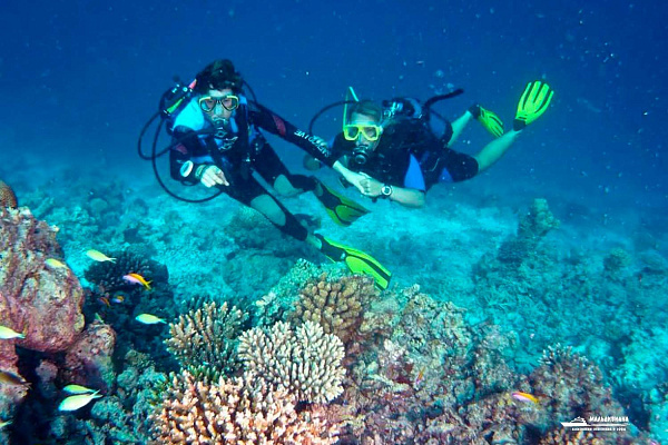 Canareef Resort Maldives Canareef Resort Maldives