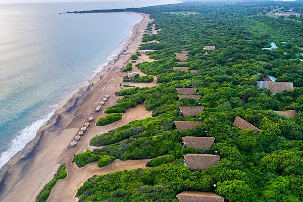 Jungle Beach by Uga Jungle Beach by Uga