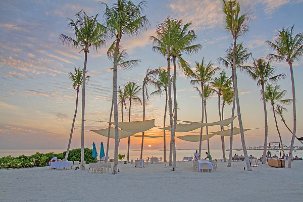 Joy Island by the Cocoon Collection