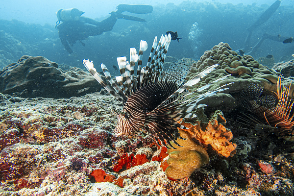 Sun Siyam Iru Fushi Maldives