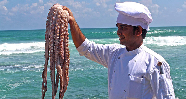 The Fortress Resort & Spa