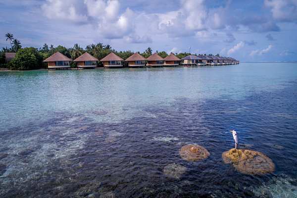 The Residence Maldives at Dhigurah