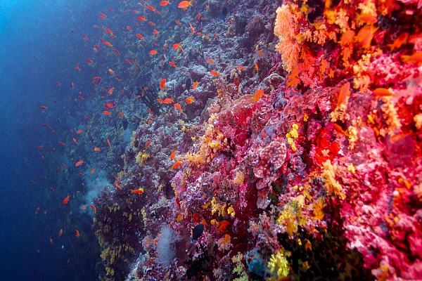 Anantara Kihavah Villas