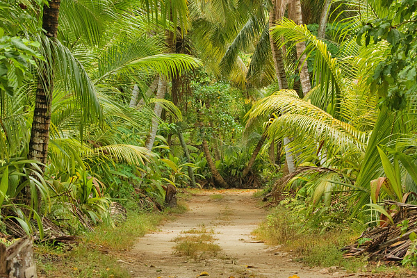 Bird Island Lodge (Bird Island) Bird Island Lodge (Bird Island)