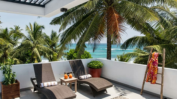 Owl and the Pussycat