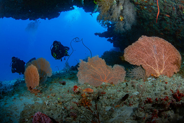 Noku Maldives Vignette Collection Resort