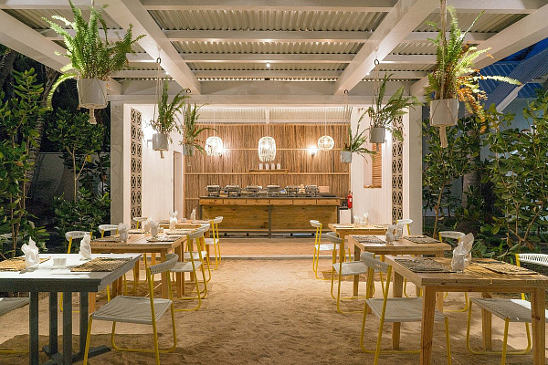 Tropical Attitude Tropical Attitude