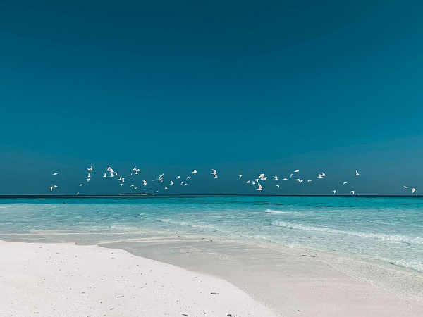 Perla Dhangethi Guest House