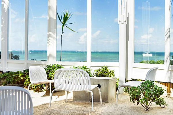 Tropical Attitude Tropical Attitude