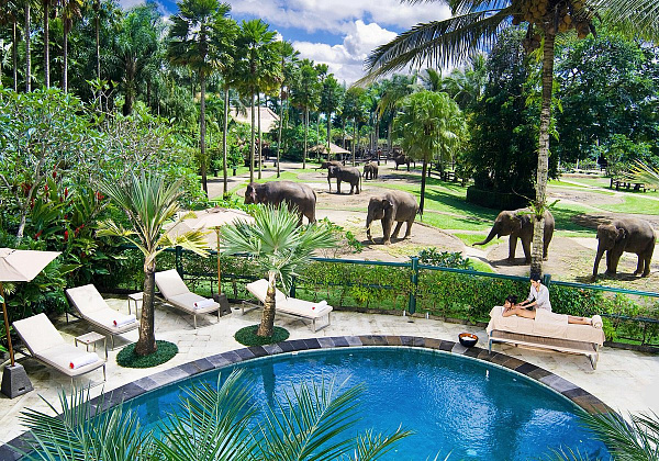 Mason Elephant Park and Lodge