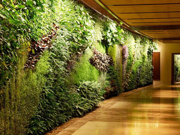 Sofitel Dubai The Palm Resort & Spa