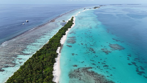 TME Retreats Dhigurah Guest House